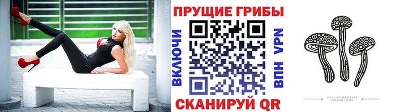 shop наркотические препараты  Холмск  Галлюциногенные грибы Psilocybe  где купить наркоту 